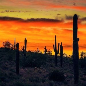 Meet your Posher, Sam